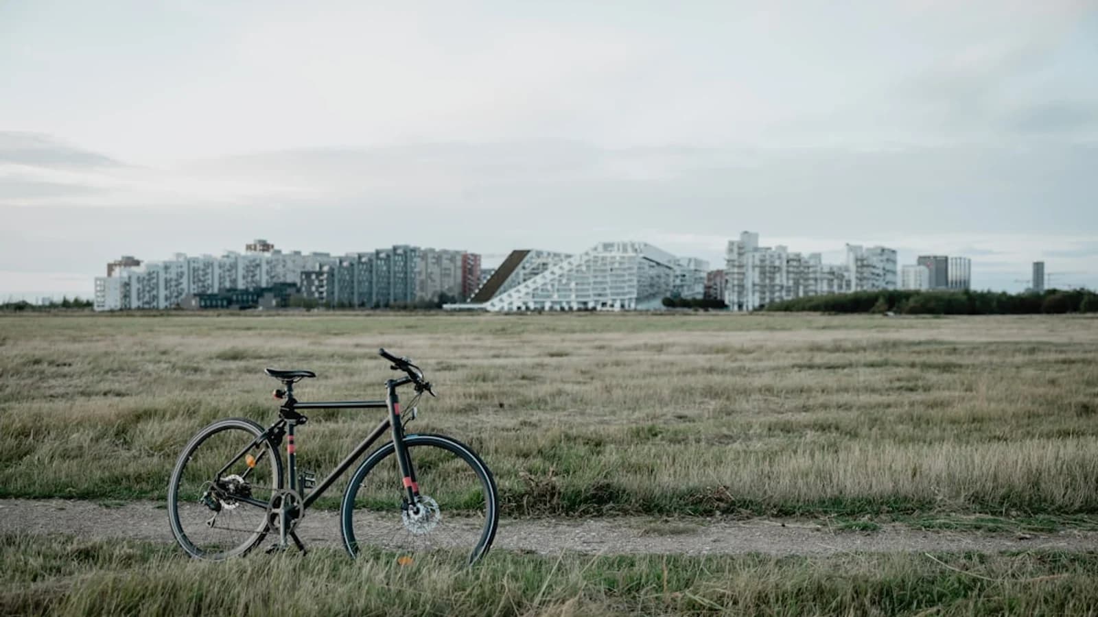 Cycling in Denmark: Beginner Guide