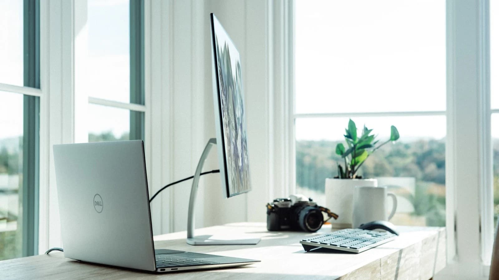 Freelancing in Denmark as a Foreigner